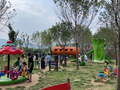-西部长青自然儿童乐园