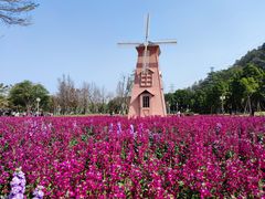 -顺峰山公园