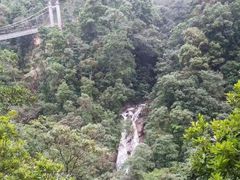 -九龙江国家森林公园