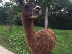 iphone_upload_pic-常州武进九洲喜来登酒店