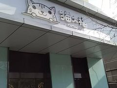 -猫大福·Fortune Cat猫舍(百子湾店)
