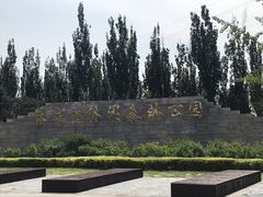 -永定河休闲森林公园