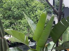 -云里小坐·小院里·团建·宴请·下午茶(三圣乡店)