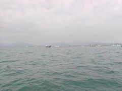 -小猫钓鱼海钓俱乐部(椰梦长廊店)