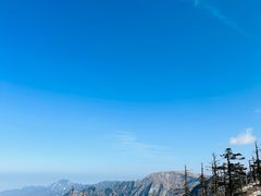 -朱雀国家森林公园