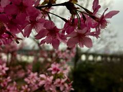 -龟山风景区-龟山电视塔