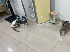 -佳雯宠物医院·皮肤科·内外科(春晓路分院)