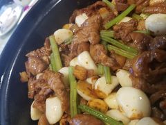 -朝郡酒家·粤菜(燕大星苑店)