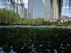 -团结湖公园
