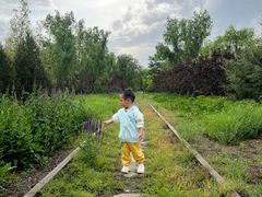 -永定河休闲森林公园