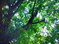 -飞霞风景名胜区