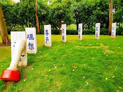 -陈家山荷花公园
