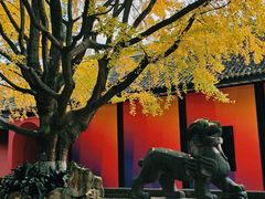 -成都武侯祠博物馆