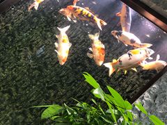 -弘安丽水温泉酒店