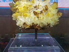 -湖南省地质博物馆