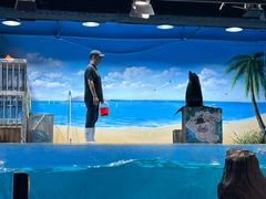 -沙沙哗啦海洋馆(华宇百花谷店)