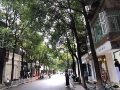 -萨尔瓦多Salvador's