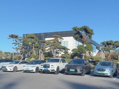 -罗红摄影艺术馆