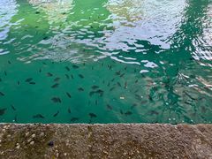 -三亚南山文化旅游区