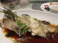 -大东海海鲜酒楼(渔人码头总店)