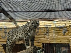 -青藏高原野生动物园