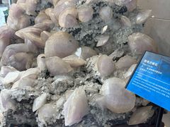 -湖南省地质博物馆