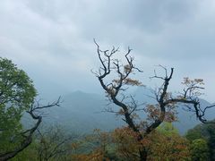 -青城山
