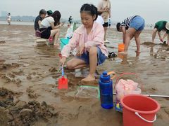 -刘家湾赶海园