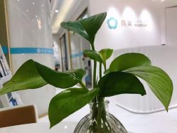 -韩莱科技美肤连锁
