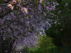 -南丰汇(新港东路店)