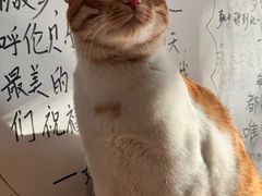 -哈尔滨北方国际青年旅舍(中央大街店)