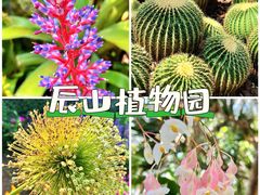 -上海辰山植物园