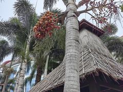 -三亚蜈支洲岛旅游区