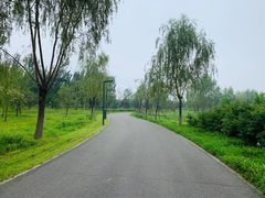 -东郊湿地公园