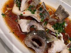 陈年花雕蒸鲈鱼-泓历皇朝酒店(东亭店)