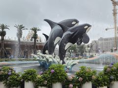 -上海海昌海洋公园