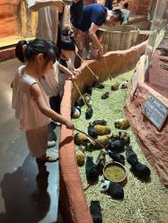 -Zoolung Zoolung动物主题公园(海信广场店)