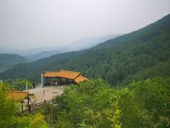 -铁山坪森林公园