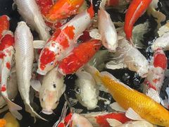 -聚福宝合苑食府(南头镇店)