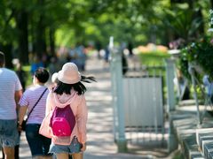 -叶卡捷琳娜宫