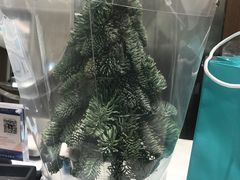 -Tiffany & Co.蒂芙尼
(南京德基广场店)