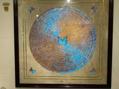 -上海昆虫博物馆