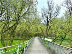 -西湖风景区-江洋畈生态公园