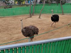 -西霞口神雕山野生动物世界