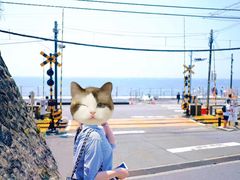 -灌篮高手动画打卡地