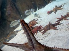 -福州罗源湾海洋世界旅游区