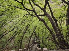 -云峰山自然风景区