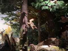 -陕西自然博物馆