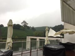 -帐篷客·溪龙茶谷度假酒店