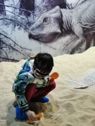 -恐龙探索乐园(磁器口店)